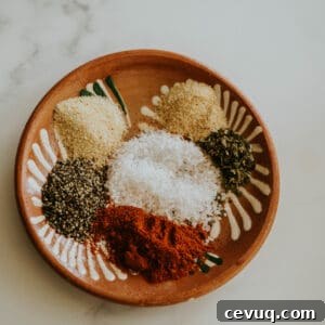A clay plate with piles of ground spices including garlic powder, onion powder, salt, pepper, and chile powder.