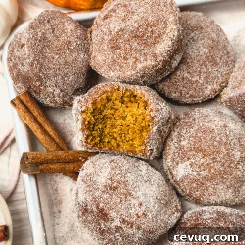 Pumpkin Donut Muffins