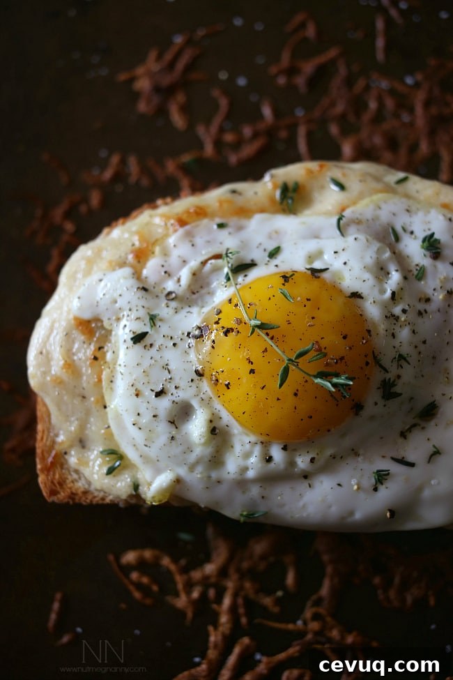 This croque madame is the perfect combination of bechamel cheese sauce, Canadian bacon and Swiss cheese stuffed between two slices of crusty bread and topped with a fried egg. Perfect for breakfast or dinner. Croque Madame sprinkled with fresh herbs.