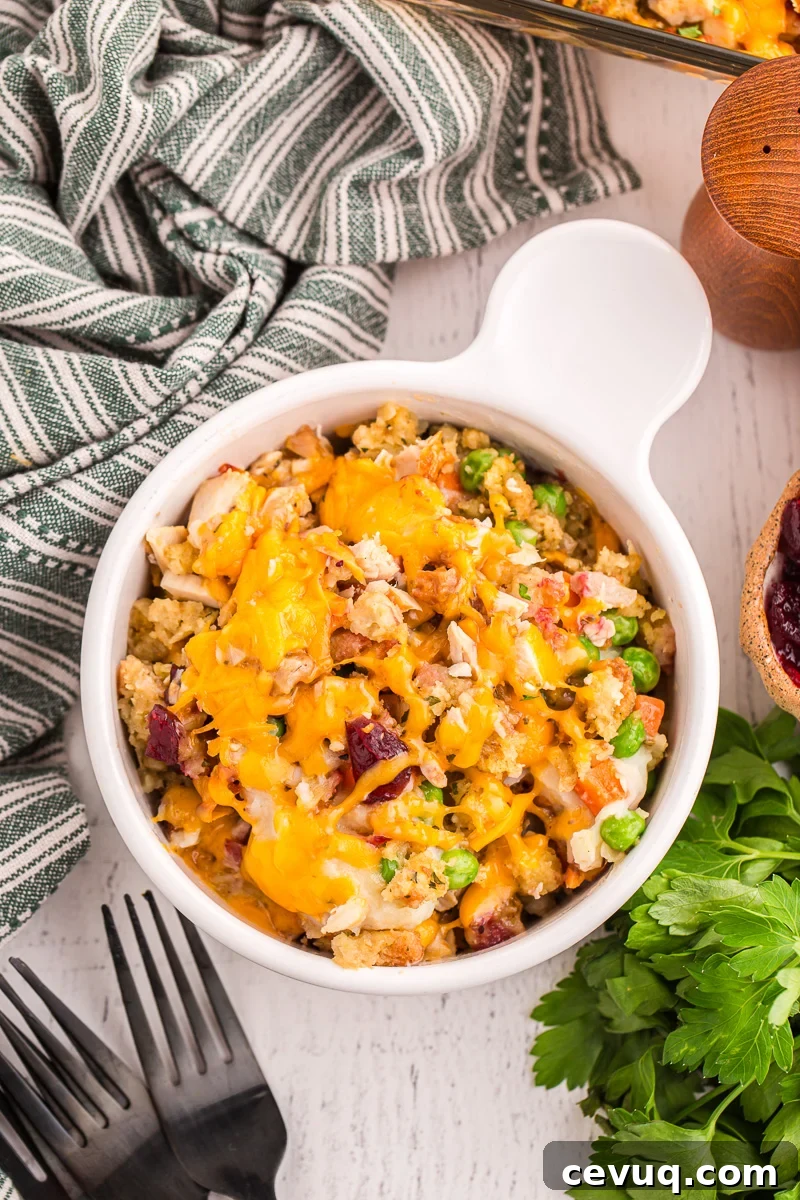 Overhead image of turkey casserole with stuffing and cranberry in small bowl.