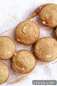 apple quinoa muffins baked sitting on a serving plate