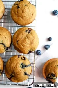 gluten free lemon blueberry muffins sitting on a wire rack