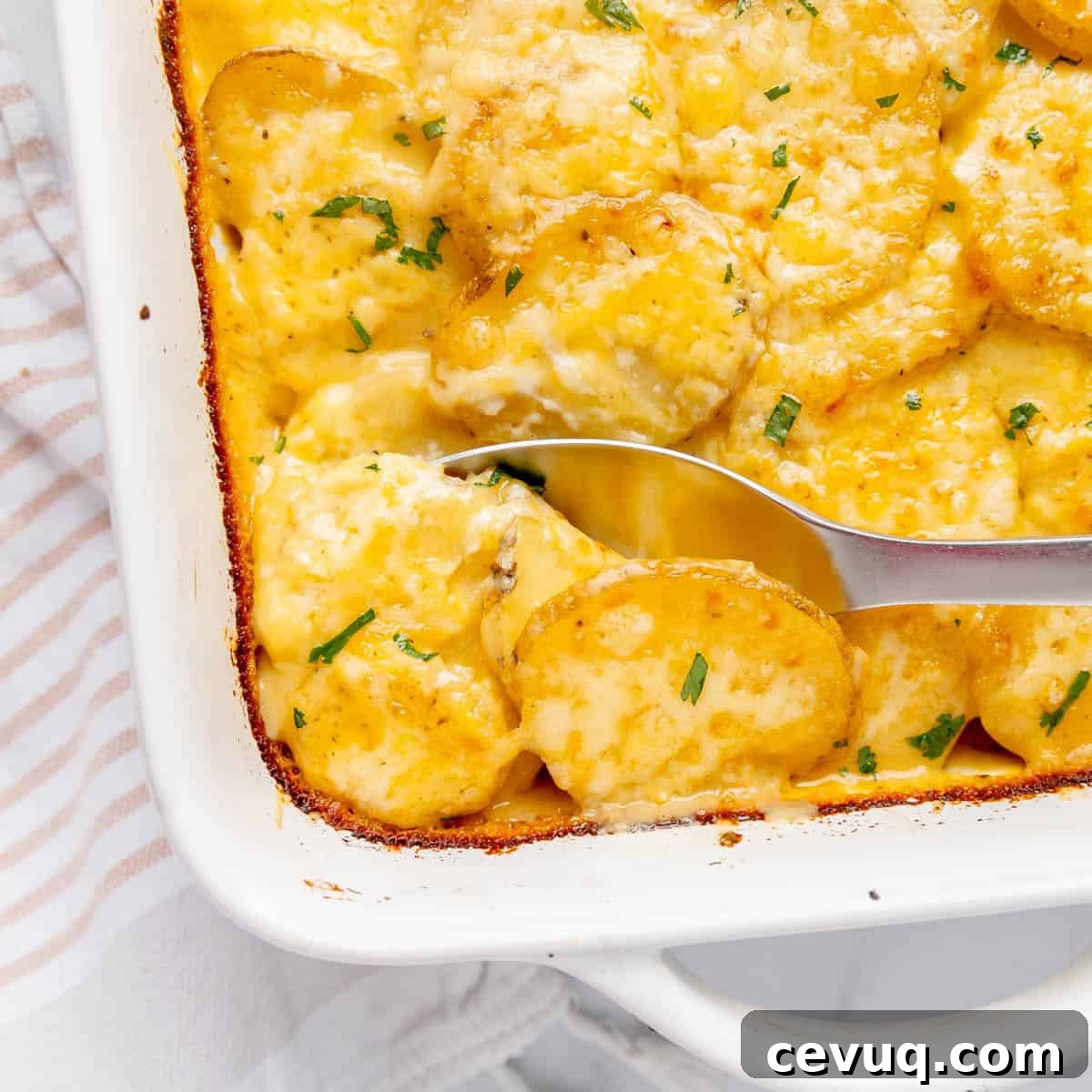 Baked cheesy scalloped potatoes in a white baking dish with a silver serving spoon, garnished with parsley.