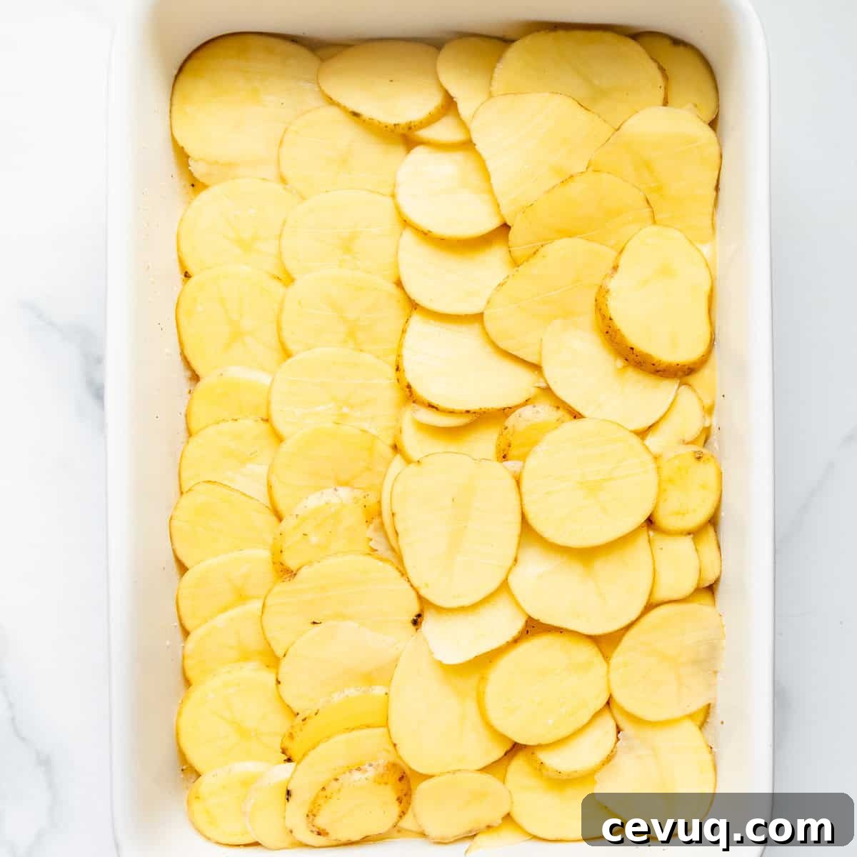 Thinly sliced potatoes arranged evenly in a white rectangular baking dish.