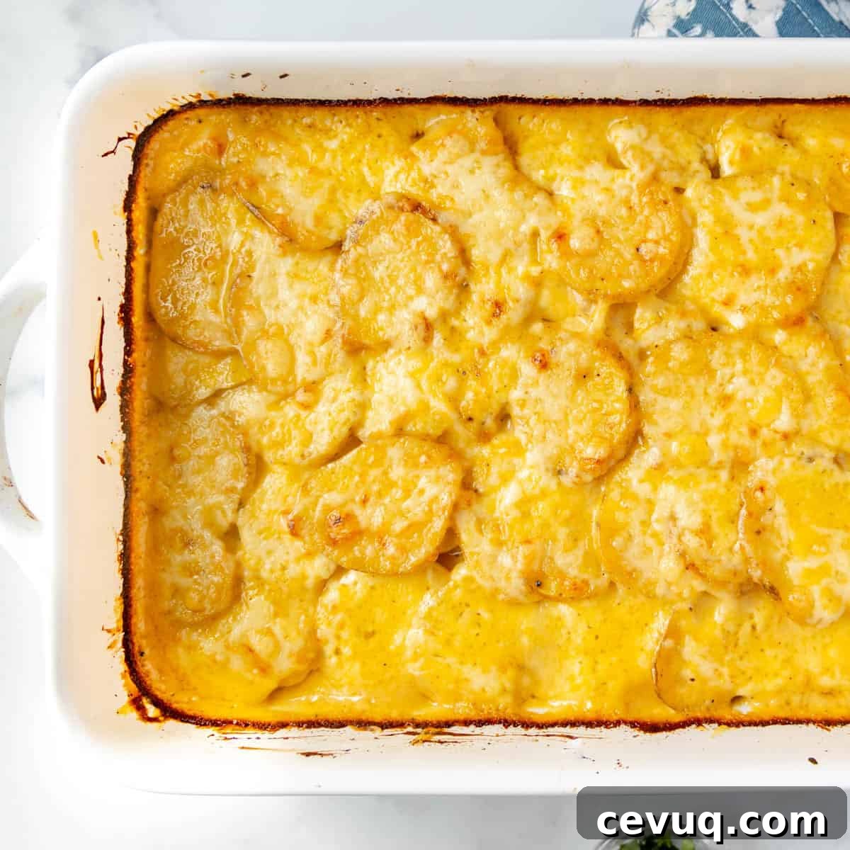 A baked dish of scalloped potatoes with melted cheese in a white rectangular casserole dish.