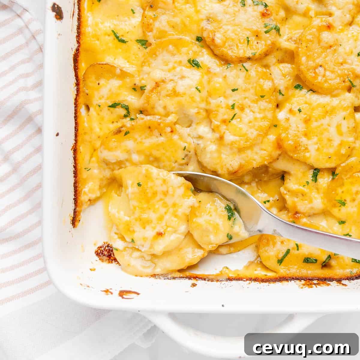 Baked cheesy scalloped potatoes in a white dish with a silver serving spoon, resting on a striped cloth.
