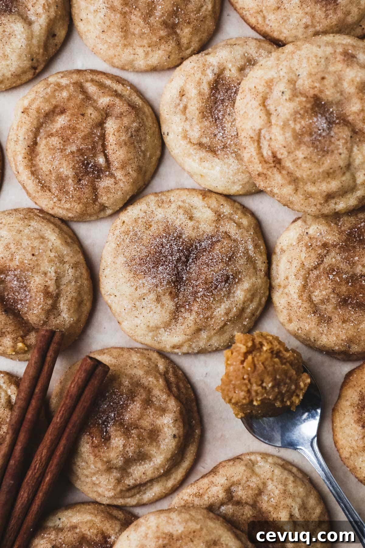 White miso brown butter snickerdoodles with cinnamon sugar.