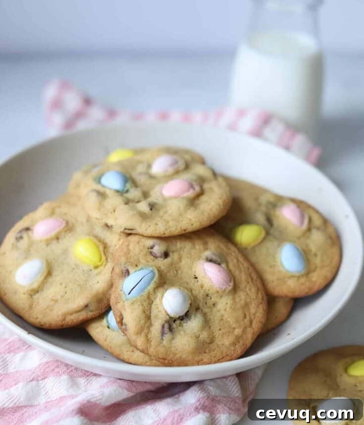 Image for Cadbury Chocolate Chip Cookies