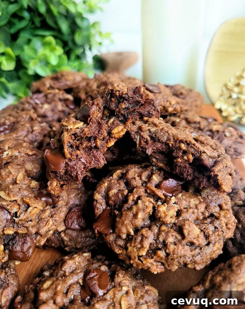 Double Chocolate Oatmeal Cookies with Chocolate Chips 6 chocolate oatmeal chocolate chip cookies
