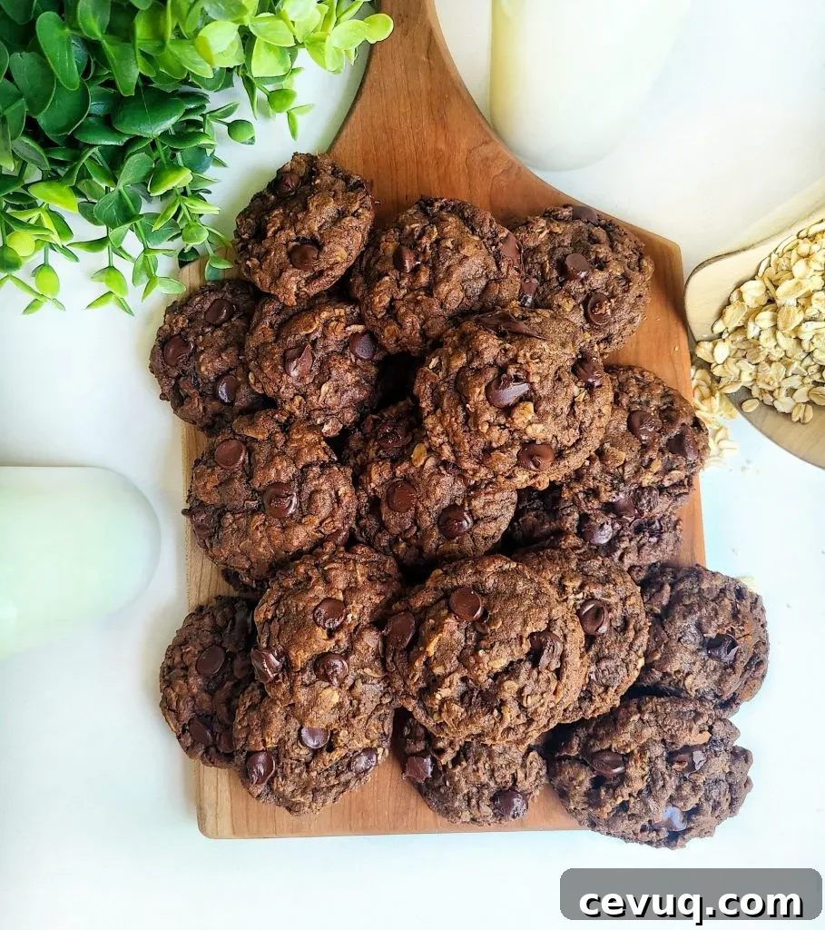 Double Chocolate Oatmeal Cookies with Chocolate Chips 7 chocolate oatmeal chocolate chip cookies
