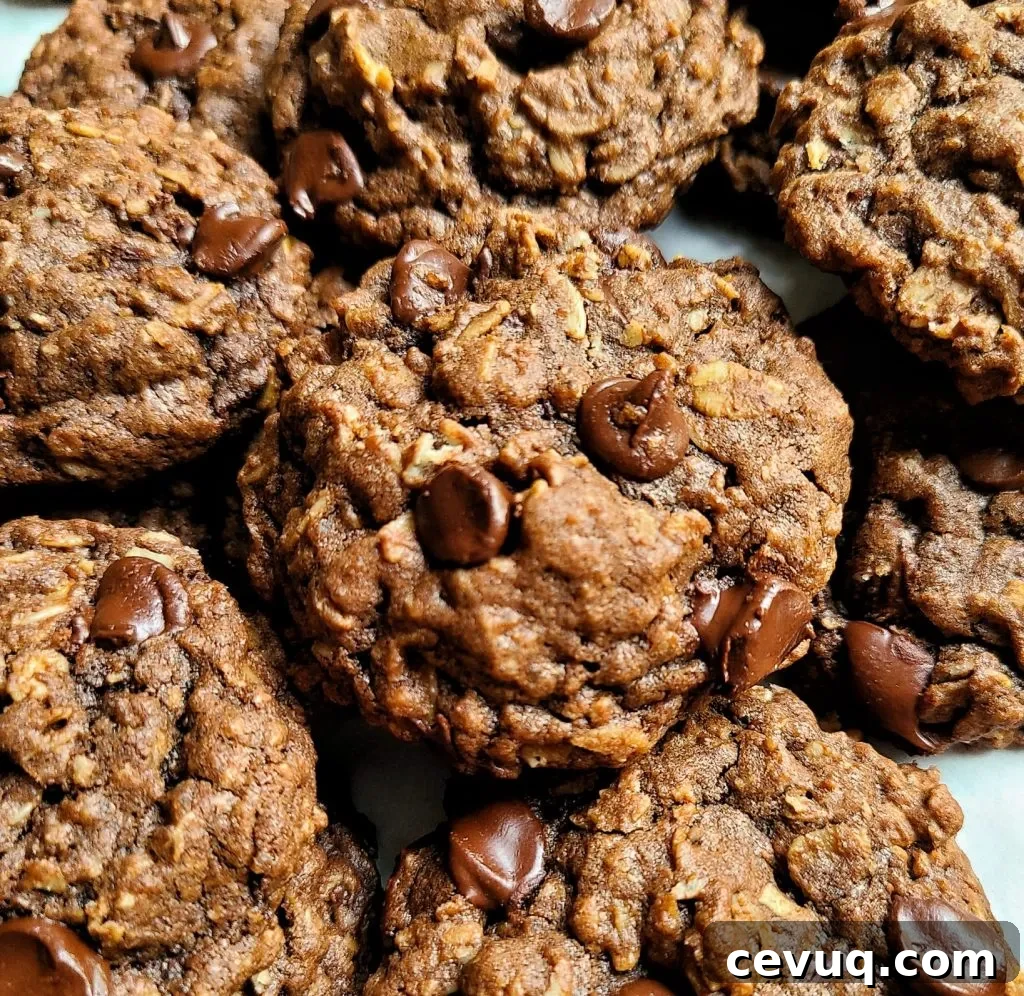Double Chocolate Oatmeal Cookies with Chocolate Chips 2 chocolate oatmeal chocolate chip cookies