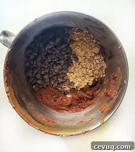 Double Chocolate Oatmeal Cookies with Chocolate Chips 4 chocolate oatmeal chocolate chip cookies dough