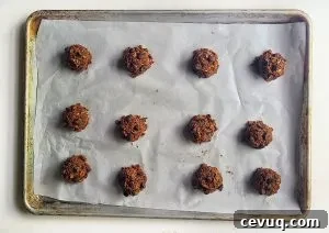 Double Chocolate Oatmeal Cookies with Chocolate Chips 5 chocolate oatmeal chocolate chip cookies ready for the oven