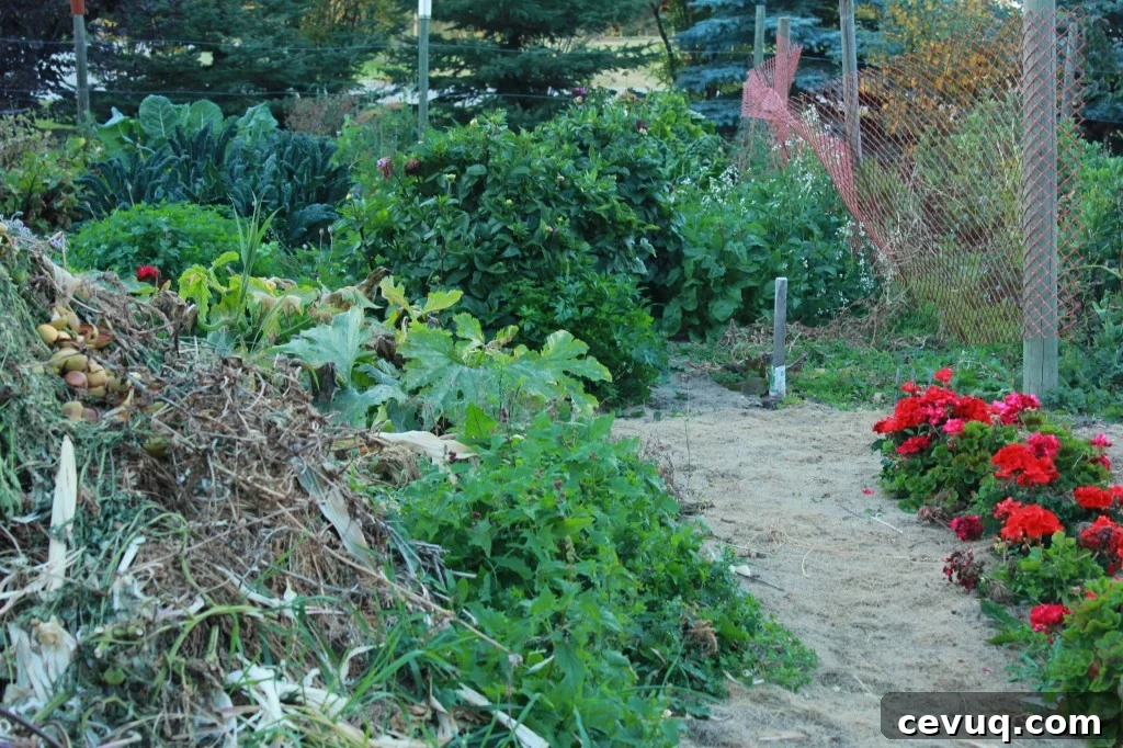 garden at year's end