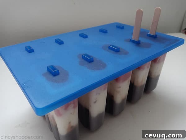 Sticks placed in popsicle mold