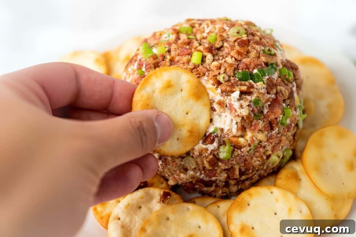 A hand holding a round cracker, reaching to dip into a pecan bacon cheeseball.