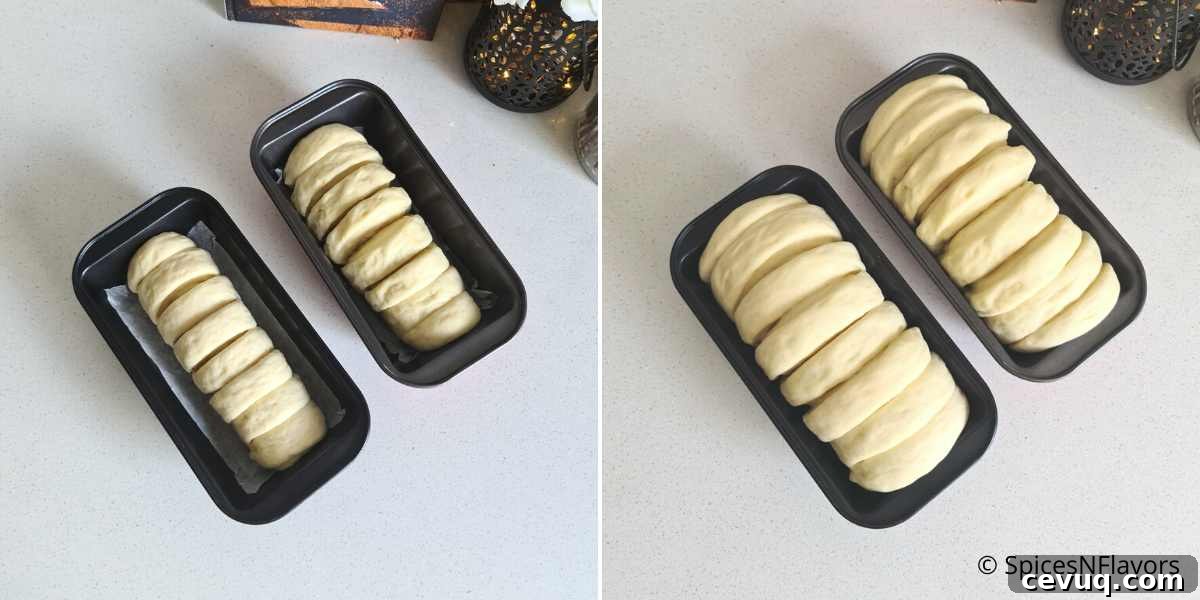 allow the bread for second rise