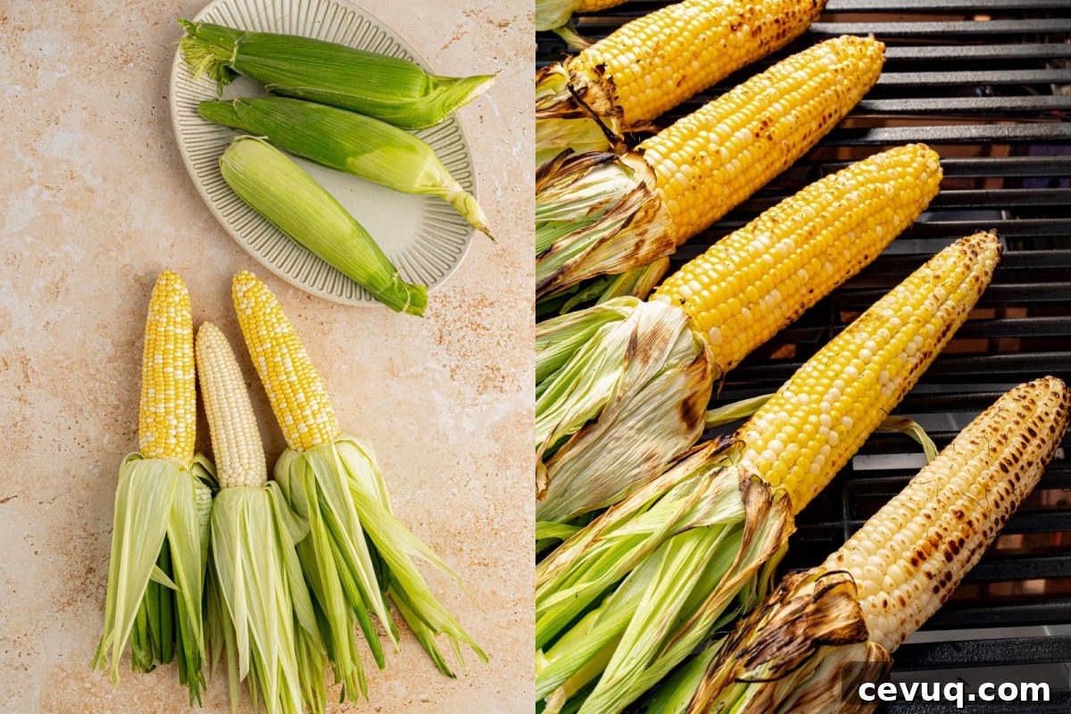 Shucked corn on a countertop then on a grill for grilling.