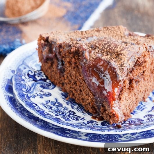 Chocolate Plum Cake