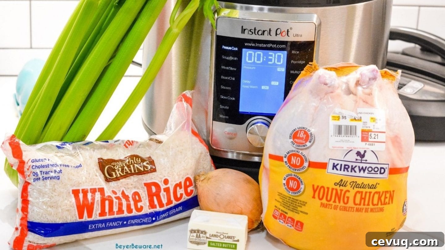 Grandma's Chicken and Rice Soup ingredients - Shredded chicken, celery, onion, butter, broth, rice.