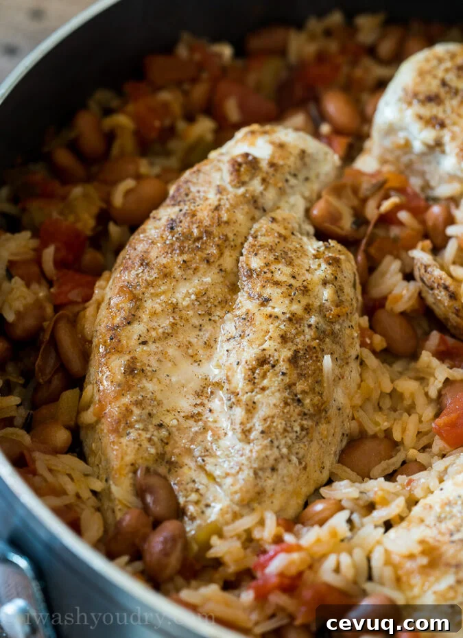 Once you add in the rice, salsa and chicken broth, place the chicken breasts back in, bring to a boil and then cover.