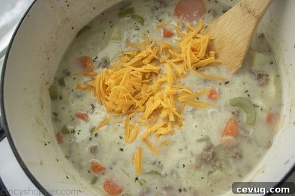 Cheese added to soup