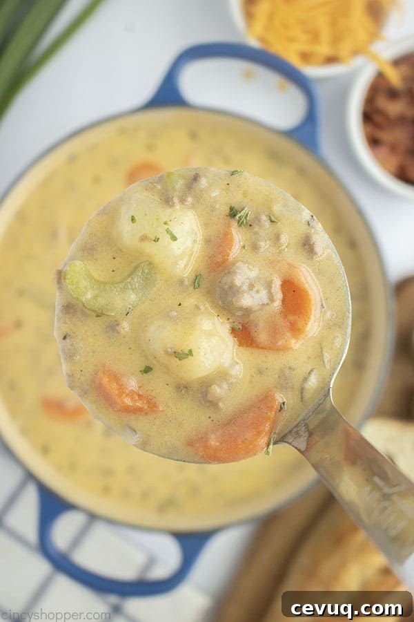 Ladle with Cheesy Ground Beef Soup