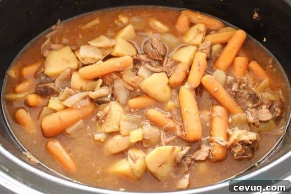 Finished easy slow cooker beef stew in crock pot ready to serve
