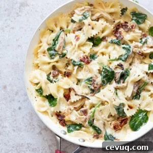 Sun Dried Tomato Pasta with Soy curls