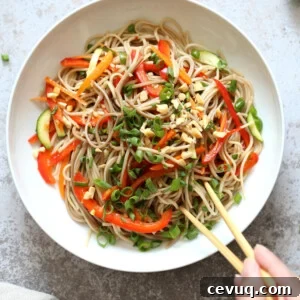 Cold Soba Noodle Salad