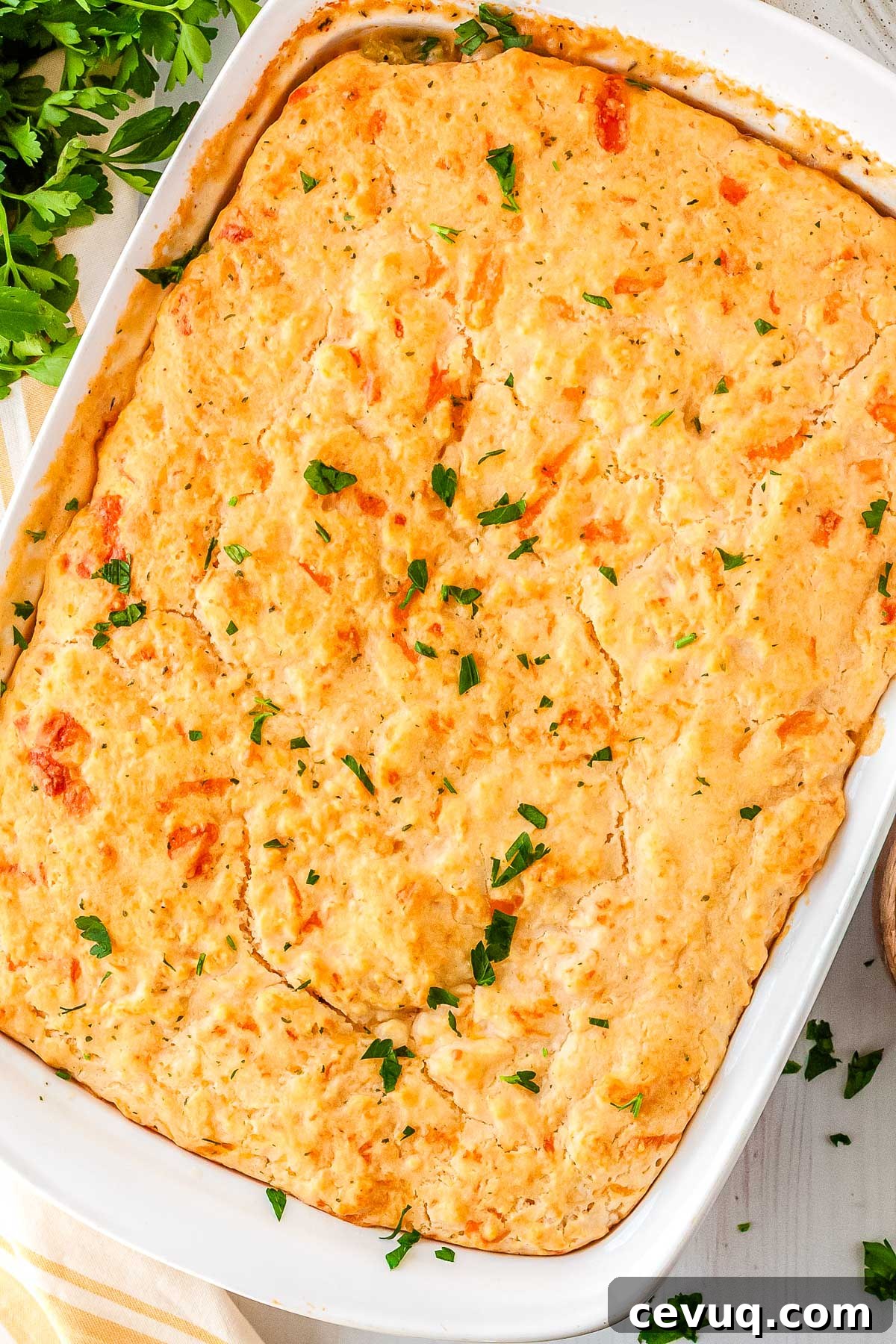 9x13 chicken pot pie with cheddar biscuit topping baked until golden brown and garnished with fresh parsley.