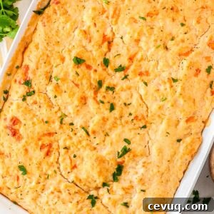 9x13 chicken pot pie with cheddar biscuit topping baked until golden brown and garnished with fresh parsley.