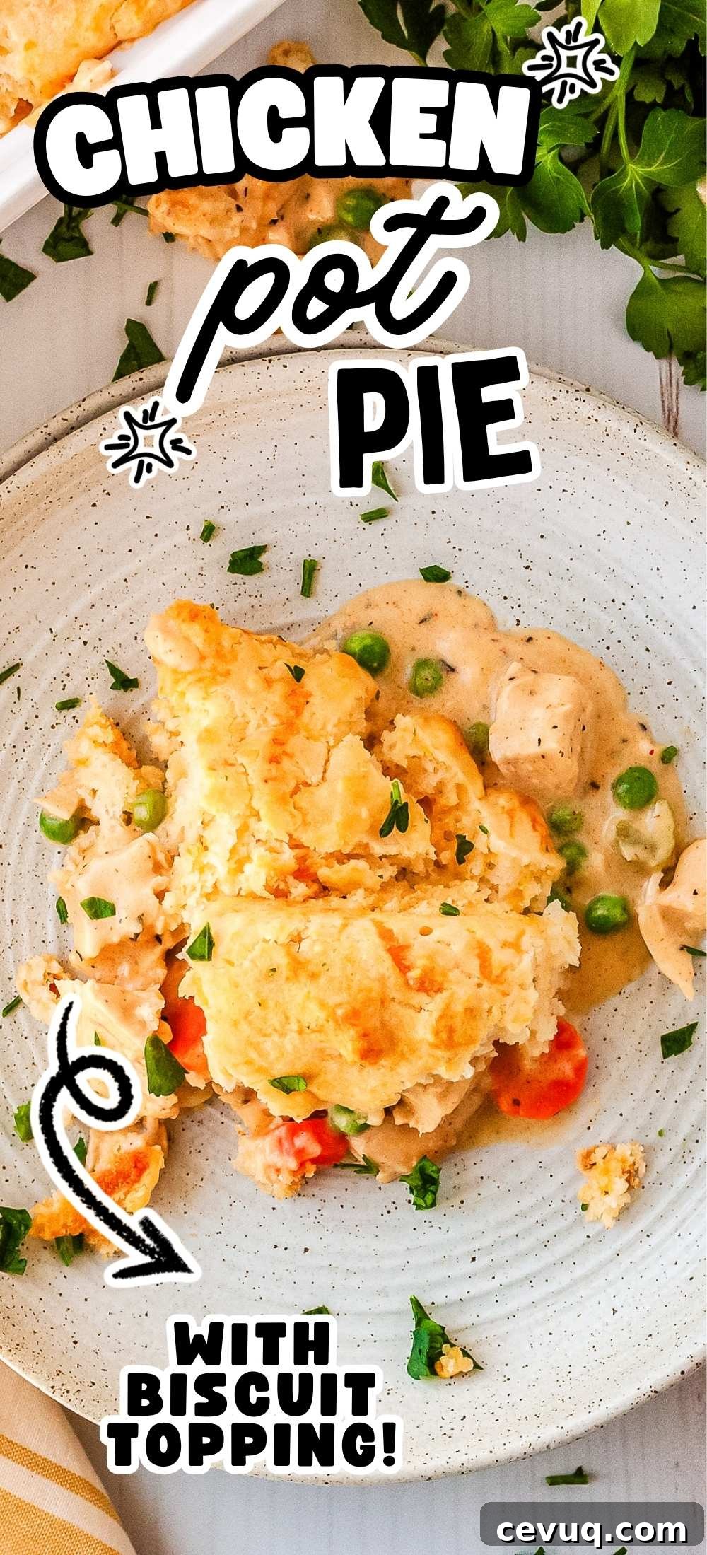 Chicken pot pie with biscuit topping served on plate with creamy filling and golden cheddar biscuit crust.