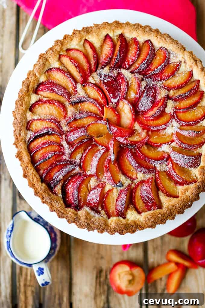 A fruit plum tart with almond frangipane and crumbly sweet pastry.