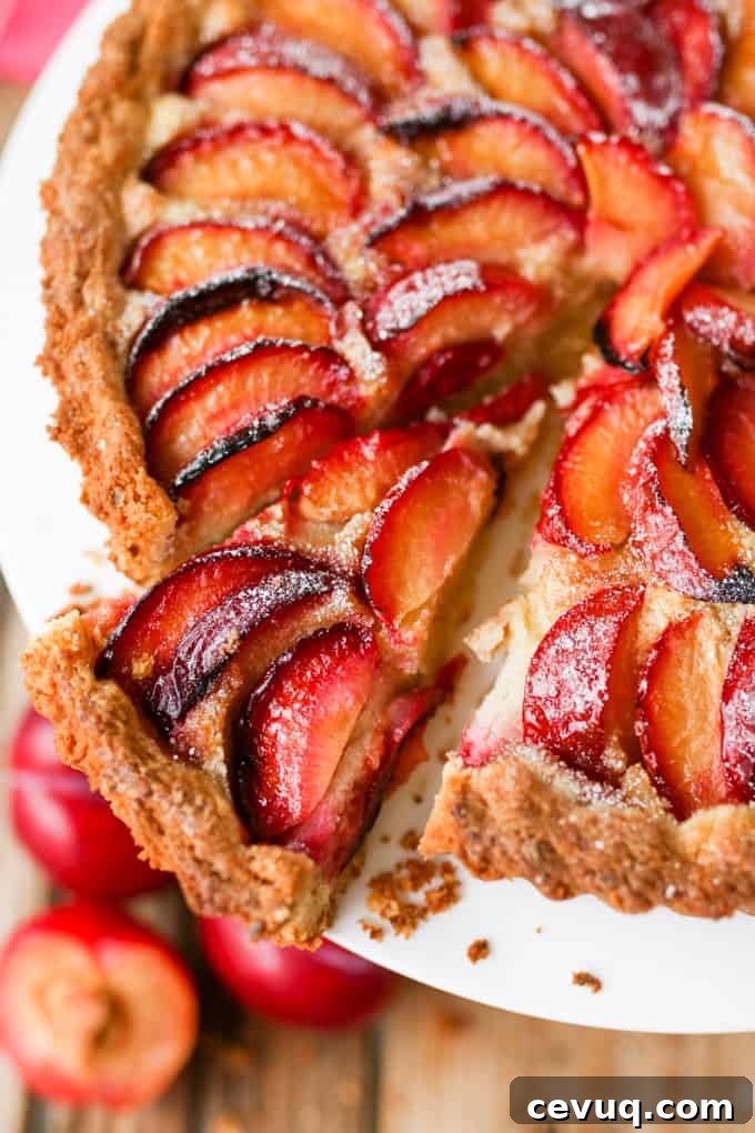 A fruit plum tart with almond frangipane and crumbly sweet pastry.