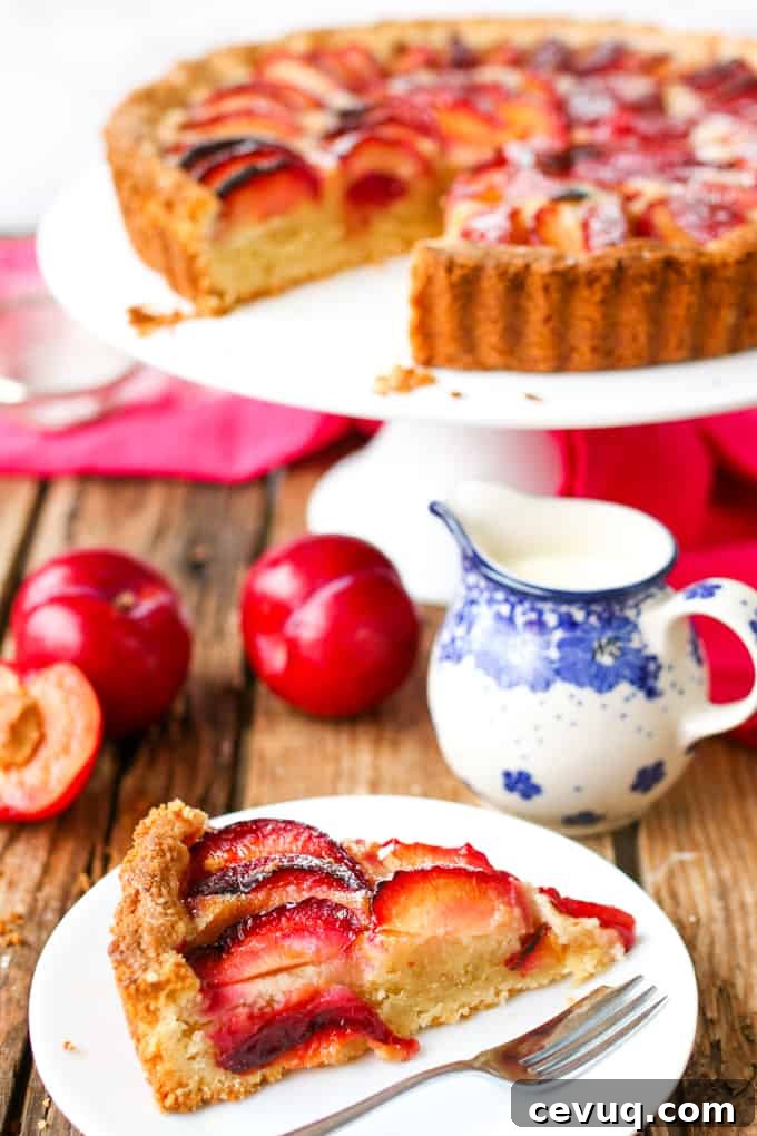 A fruit plum tart with almond frangipane and crumbly sweet pastry.