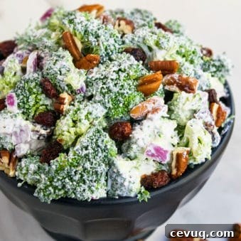 Easy Creamy Broccoli Salad with Cranberries and Pecans in Black Bowl.