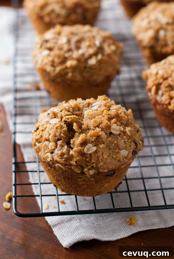 Gluten-Free Pumpkin Muffins Recipe