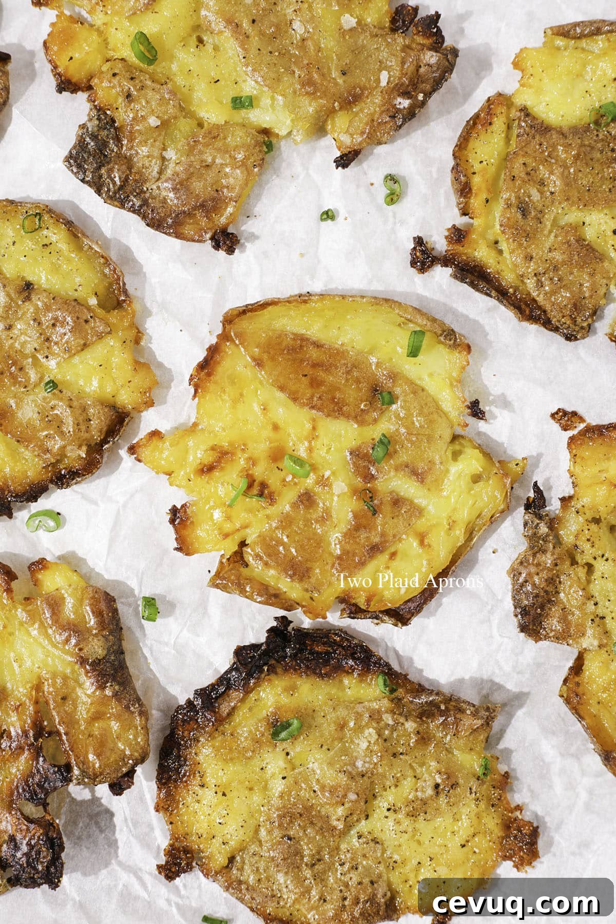 Crispy smashed potatoes garnished with green onions