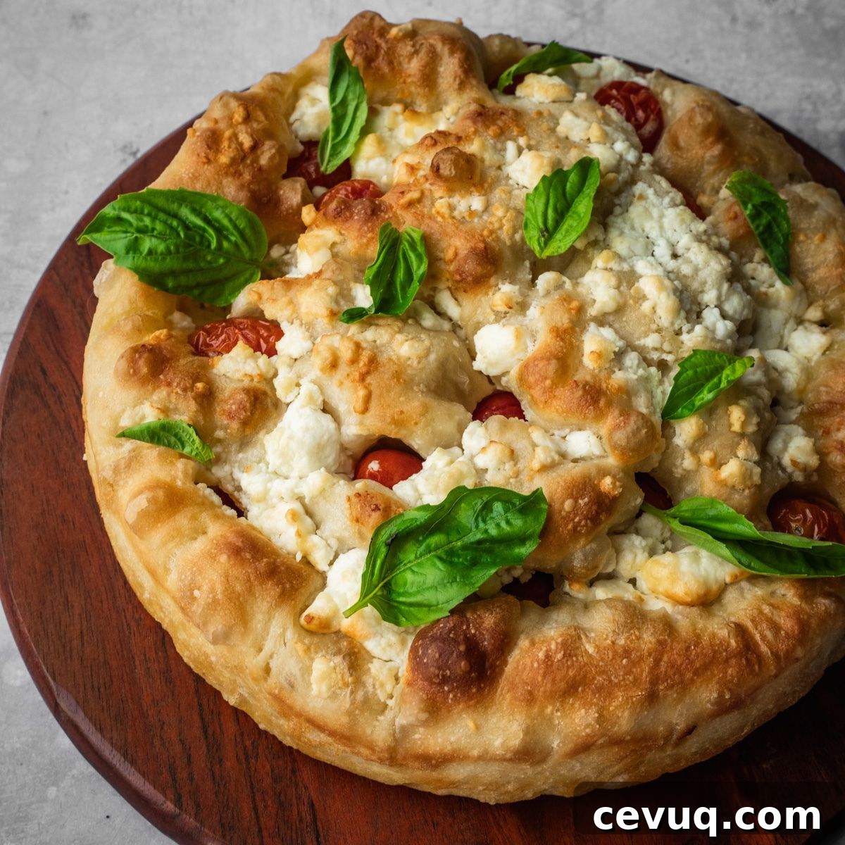 featured 14144