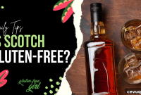 Is Scotch Whisky Gluten-Free? Gluten Content Explained