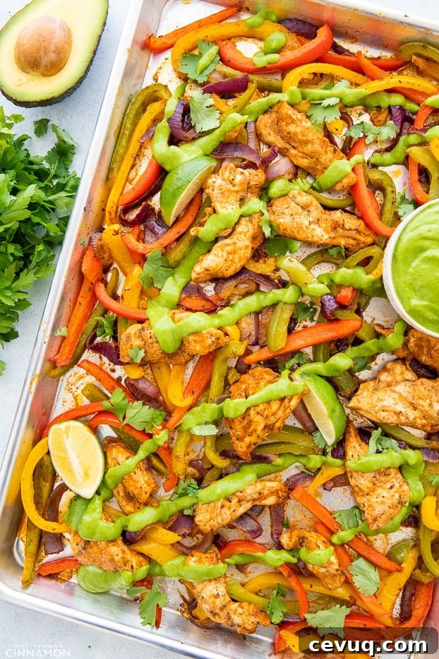 overhead shot of Sheet Pan Chicken Fajitas drizzled with creamy avocado lime sauce on a sheet pan