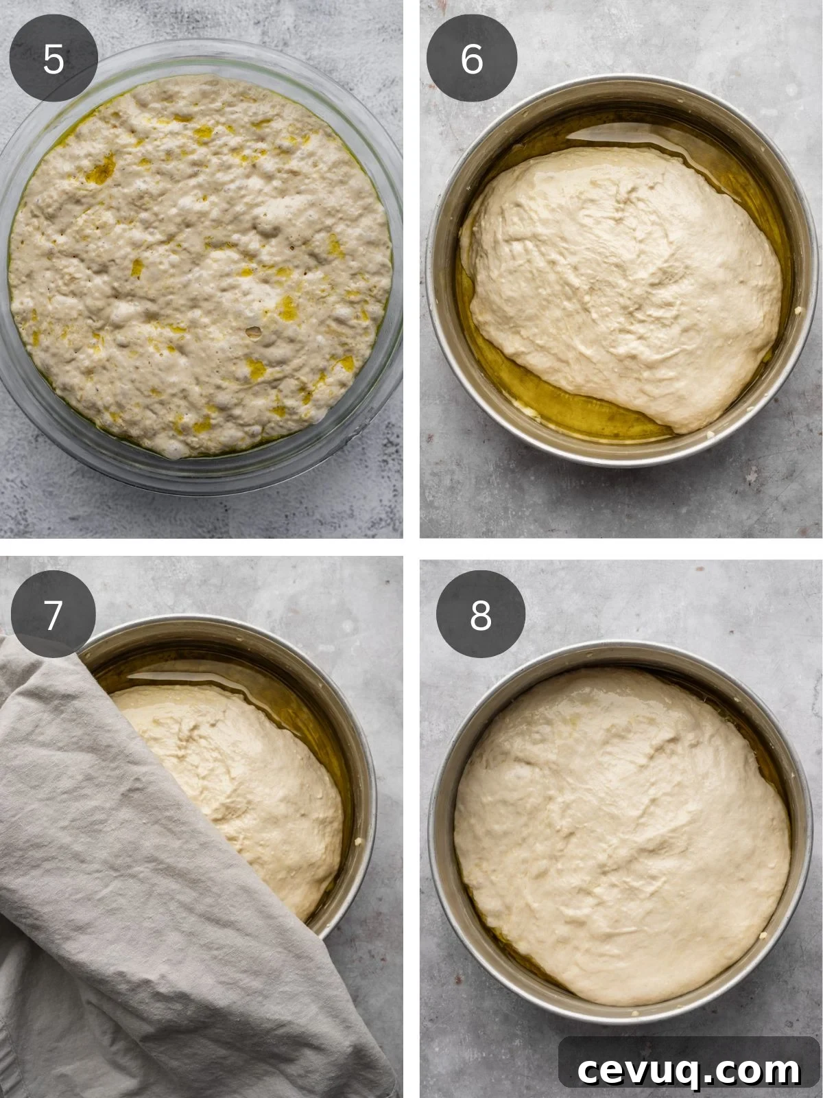 Recipe steps showing how the dough is transferred to the oiled baking pan and allowed to rise.