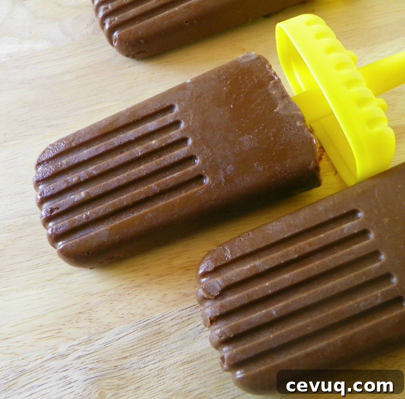 Vegan Chocolate Pudding Pops