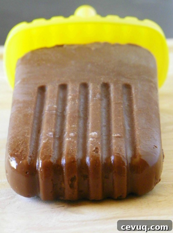 Vegan Chocolate Pudding Pops