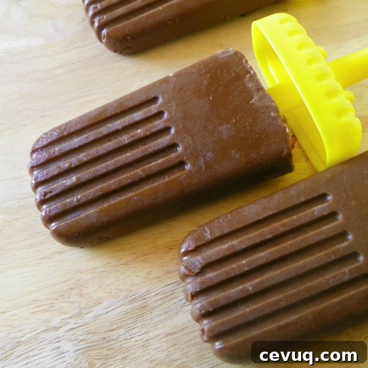 Vegan Chocolate Pudding Pops