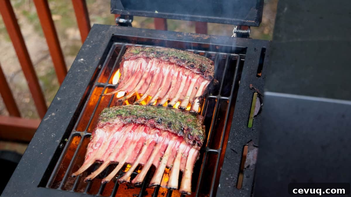 Two racks of lamb searing on grill.