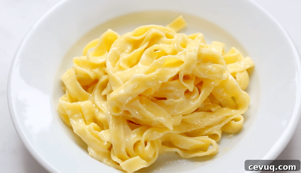 How to Reheat Fettuccine Alfredo Without Drying It Out 3 img 18229 2