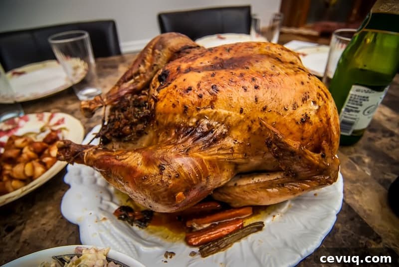Goose meat