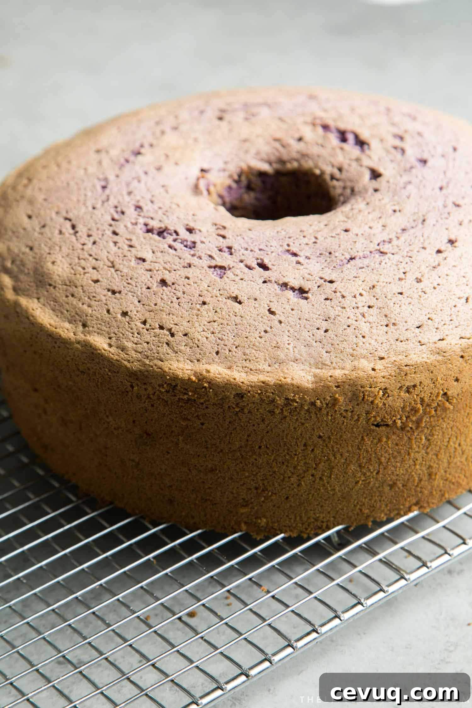 Ube Chiffon Cake